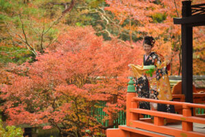 京都で成人式の前撮り
