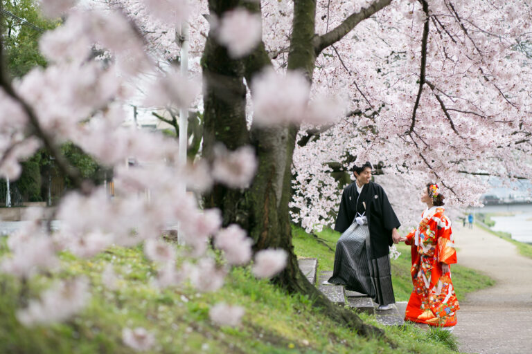 春の桜と一緒に和装で結婚式の前撮り