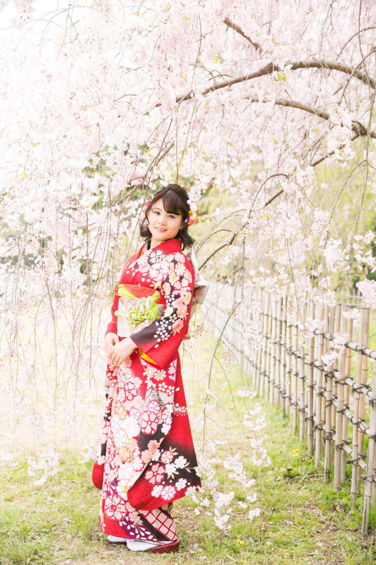 京都の春の桜